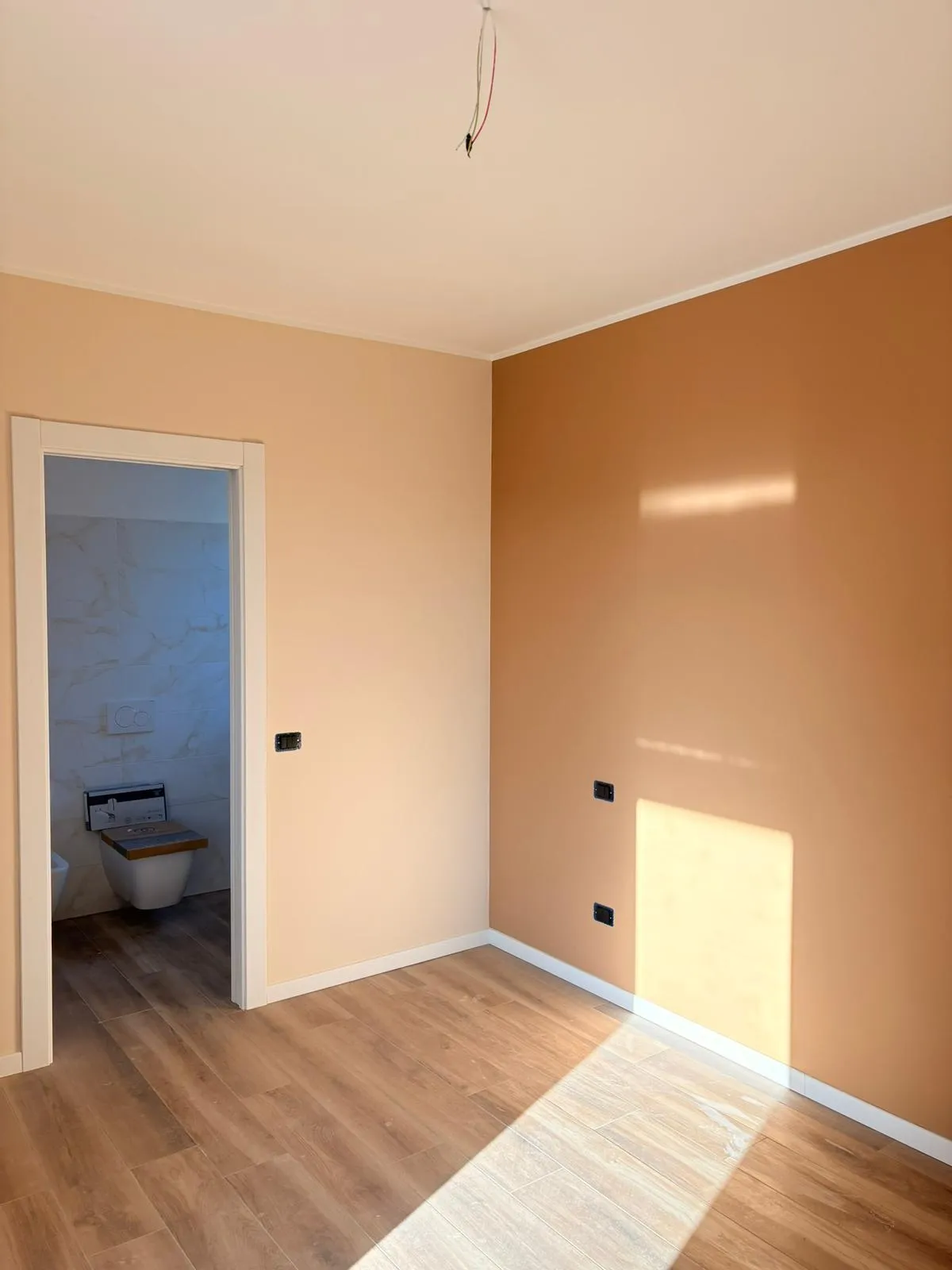 Pittura decorativa Novara